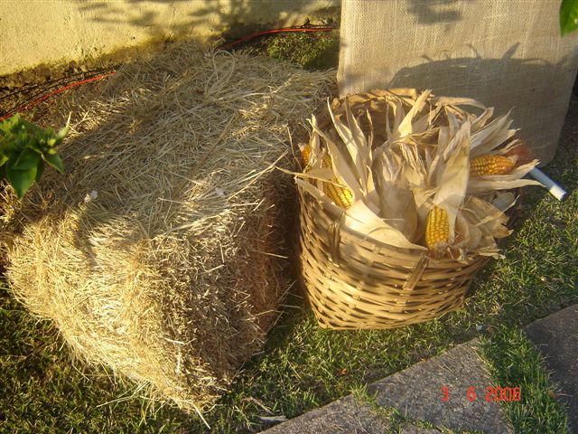 Festa junina, dançando quadrilha.